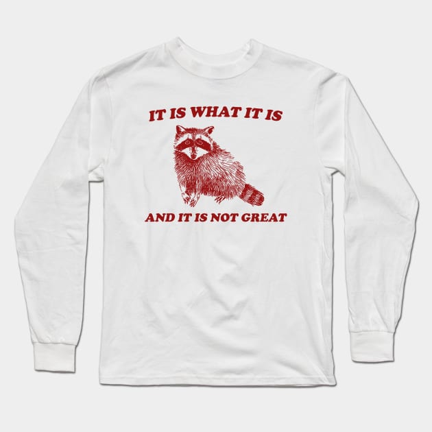 It Is What It Is And It Is Not Great, Funny Sweatshirt, Raccoon Sweatshirt, Cartoon Meme Top, Vintage Cartoon Long Sleeve T-Shirt by CamavIngora